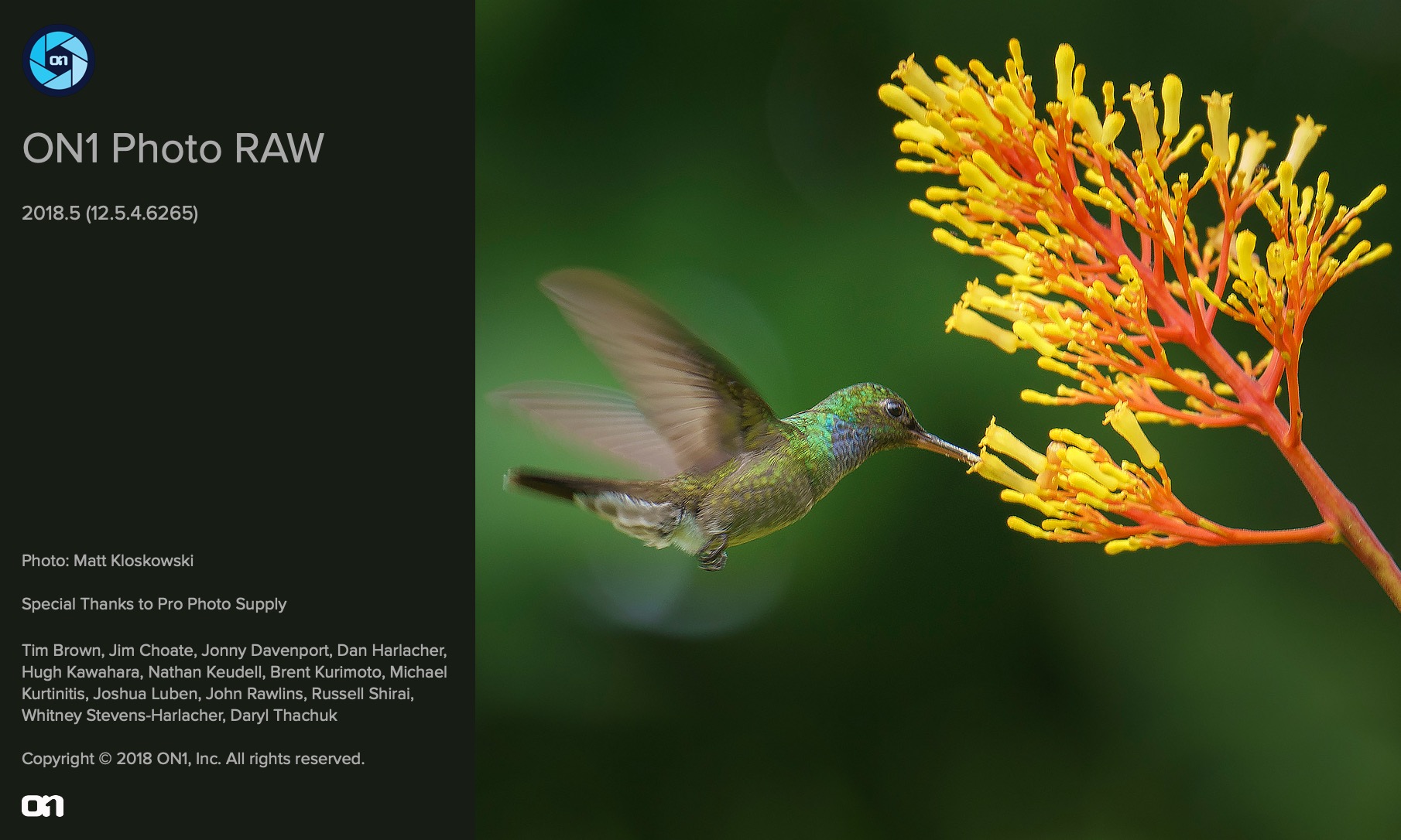 On1 photo raw 2018.5 v 12.5.2.5757 download free download